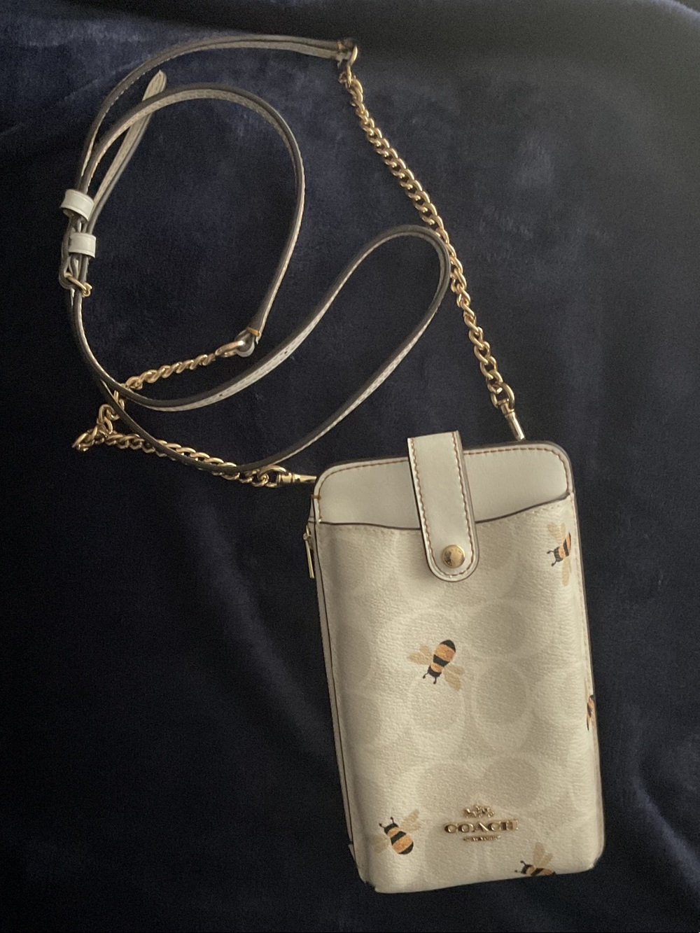 Coach Cream Bee-Print Crossbody Phone Pouch with Gold Chain